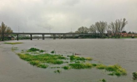 La crecida del río Alagón a su paso por Coria obliga a desalojar al Cirkus Kaos por riesgo de inundación