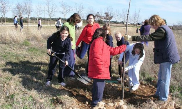Escolares de Coria y Puebla de Argeme aprenden a cuidar el entorno y plantan un total de 92 árboles y arbustos