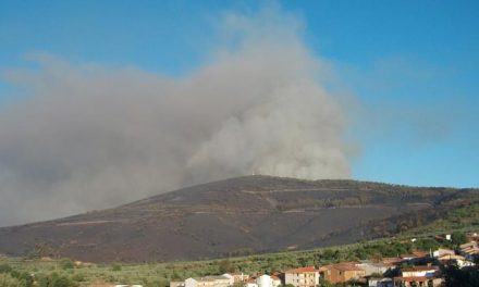 La quema de rastrojos el fin de semana calcina seis hectáreas de matorral en el norte de Cáceres
