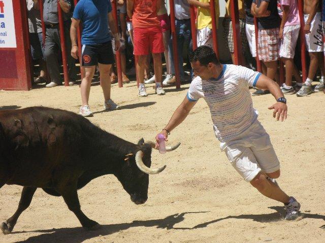 Ceber Tauro se encargará de explotar y organizar los espectáculos taurinos de las fiestas de  San Buenaventura