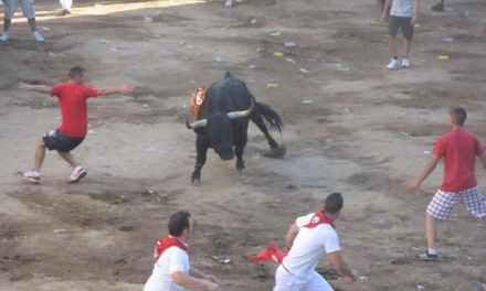 El astado Desgreñado, de la ganadería de Hato Blanco, abrirá el programa taurino de las fiestas de San Juan