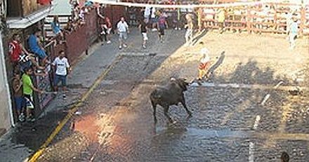 El colectivo de autónomos de Moraleja aportará un toro de la ganadería del Madroñal en San Buenaventura