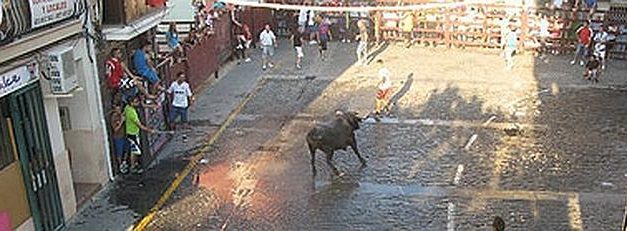 El colectivo de autónomos de Moraleja aportará un toro de la ganadería del Madroñal en San Buenaventura