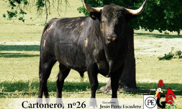 La Peña «Gallo Filisuco» aportará un toro de Pérez Escudero a las fiestas de San Buenaventura de Moraleja