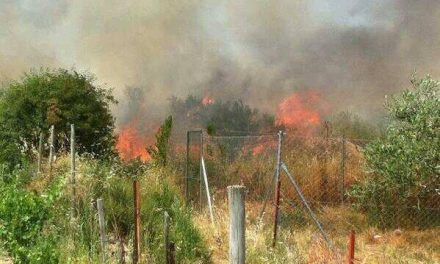 Un incendio de pastos a primera hora de la tarde afecta a un paraje próximo a Montehermoso
