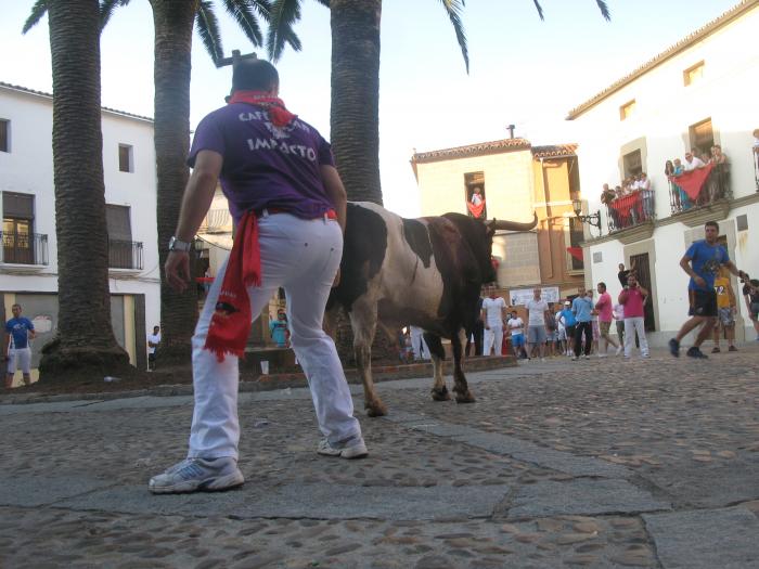 El toro de Sánchez Cobaleda hiere a dos aficionados en la lidia  y muere apuntillado en la Plaza de La Cava
