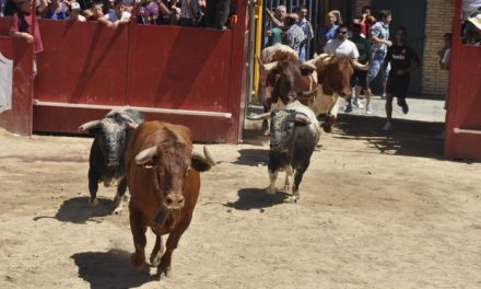El Ayuntamiento de Moraleja presentará el programa de San Buenaventura el día 10 en la pista de Las Vegas
