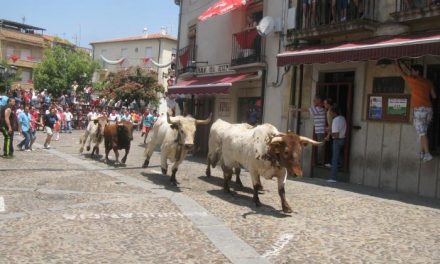 El toro de la peña “La Geta” finaliza el encierro más rápido de las fiestas de San Juan 2013