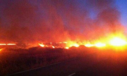El Plan Infoex declara controlado un incendio que anoche obligó a activar el Nivel 1 en Montehermoso