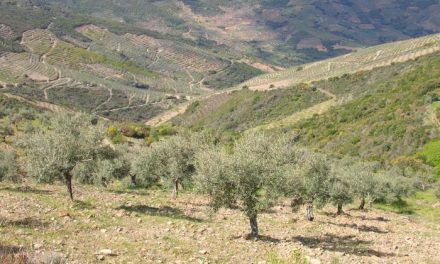 El centro de agricultura ecológica de Plasencia investigará los cultivos de montaña de la provincia