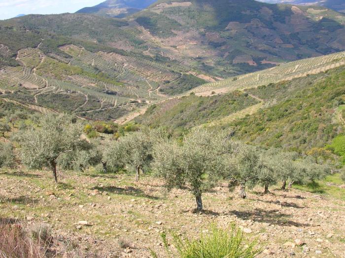 El centro de agricultura ecológica de Plasencia investigará los cultivos de montaña de la provincia