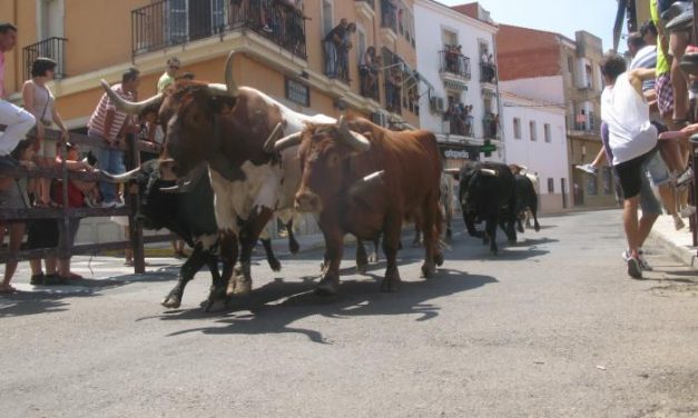 Los toros de Carmen Valiente realizan el encierro más rápido de San Buenaventura 2013