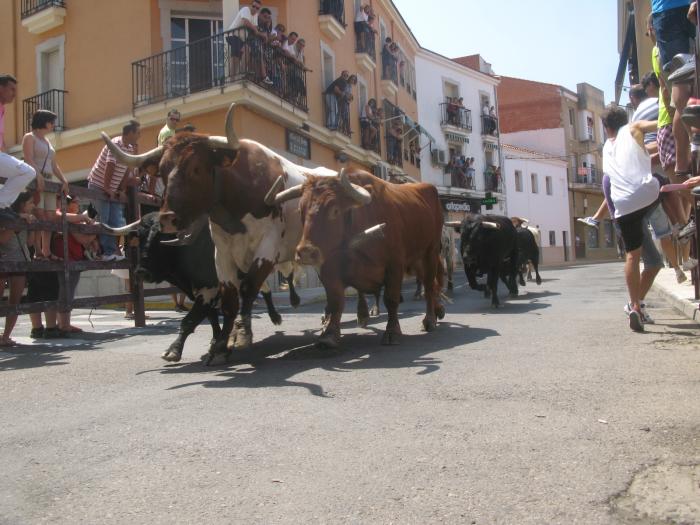 Los toros de Carmen Valiente realizan el encierro más rápido de San Buenaventura 2013