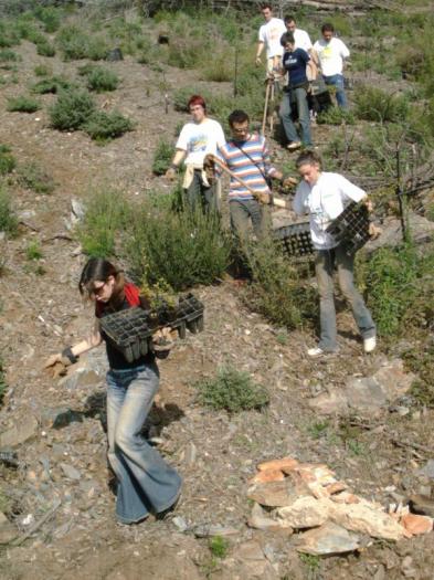 El Programa Plantabosques plantará alrededor de 6.000 árboles en la sierra portuguesa de San Mamede