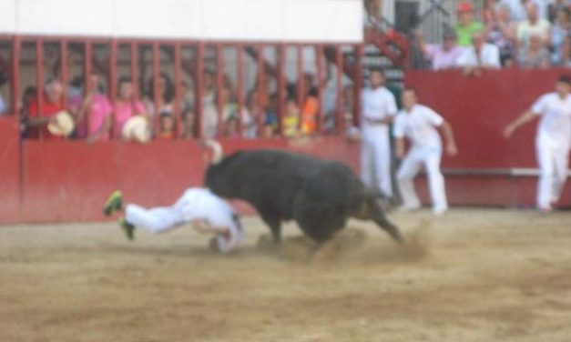 Los dos heridos por asta de toro en las fiestas de Moraleja han sido operados y evolucionan favorablemente