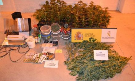 La Guardia Civil asesta un nuevo golpe al cultivo de marihuana en una intervención en Tejeda