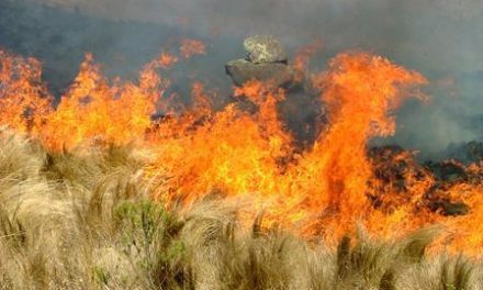 El Plan Infoex da por extinguido el incendio entre Trujillo y Madroñera que ha calcinado 2.000 hectáreas