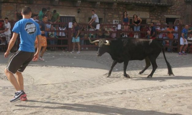 Las fiestas de San Pantaleón de Villasbuenas de Gata concluyen sin heridos por asta de toro