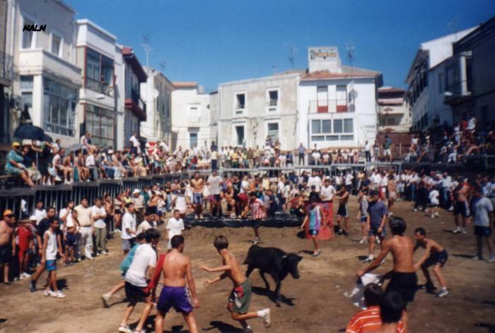 Los festejos taurinos populares de la Virgen de agosto de Torrejoncillo son declarados tradicionales