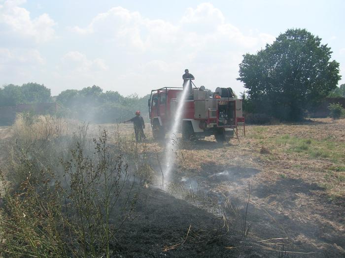Los cuatro incendios del viernes arrasan 1.400 hectáreas y 3 de ellos fueron intencionados