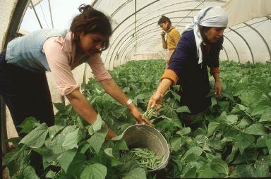 Agricultura incrementa en más de un mil por ciento la oferta formativa destinada a las mujeres del medio rural