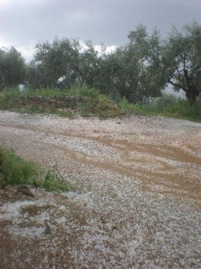 UPA cifra en 4.000 las hectáreas de cultivos afectadas en Extremadura por las tormentas