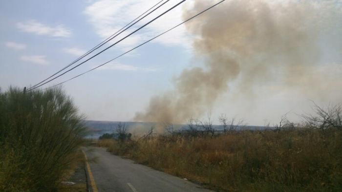 El Infoex desactiva el Nivel 1 al quedar controlado el incendio cercano a unas viviendas en Coria