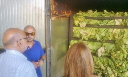 Echávarri destaca la unidad del sector del tabaco en defensa de los intereses del sector en Extremadura