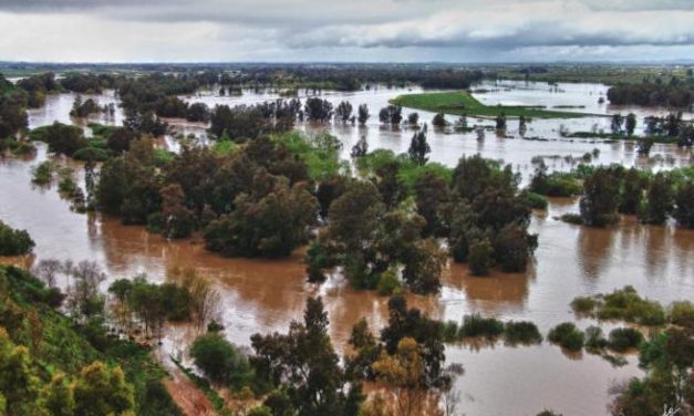 Agricultura convoca ayudas de 1,4 millones de euros para paliar daños causados por las inundaciones de abril