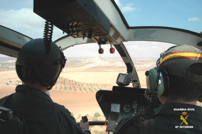 La Guardia Civil desmantela cinco puntos de plantación de marihuana con el apoyo de un helicóptero