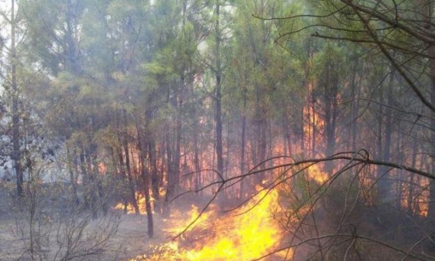 Un nuevo incendio forestal afecta a un paraje próximo a la ermita de Espíritu Santo de Valverde del Fresno