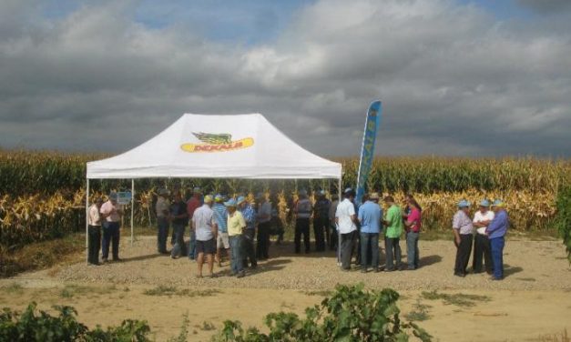 Más de cien agricultores del norte de Cáceres visitan un campo de ensayo con más de quince variedades de maíz