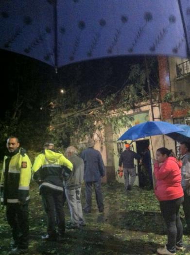 Las fuertes lluvias registradas en Moraleja provocan la caída de árboles y daños en varias naves