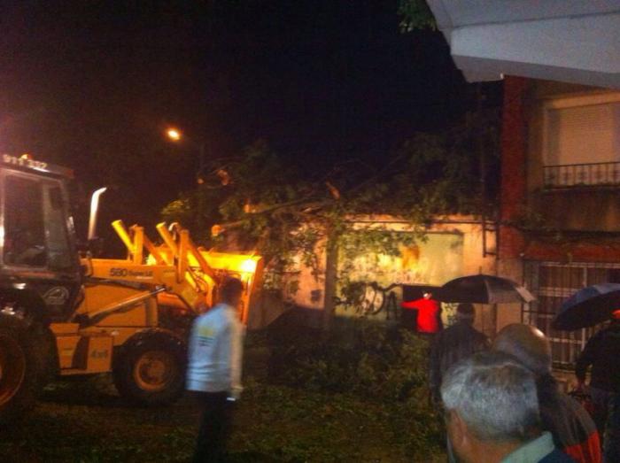 Las fuertes lluvias registradas en Moraleja provocan la caída de árboles y daños en varias naves
