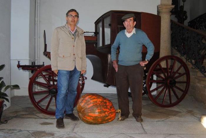 Un vecino de Valencia de Alcántara cede una calabaza de 70 kilos para que sea expuesta en el ayuntamiento