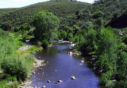La CHT autoriza una concesión de agua de 435.000 metros cúbicos  para uso industrial en Calzadilla