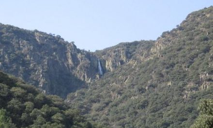 La Consejería de Agricultura adjudica  por 550.000 euros las obras de rehabilitación de los montes de Sierra de Gata