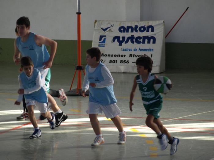 Más de 70 niños se dan cita  en la concentración de baloncesto de base de Moraleja