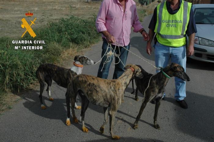 López Iglesias anuncia la detención de seis personas por el robo de 34 perros de raza galgo español