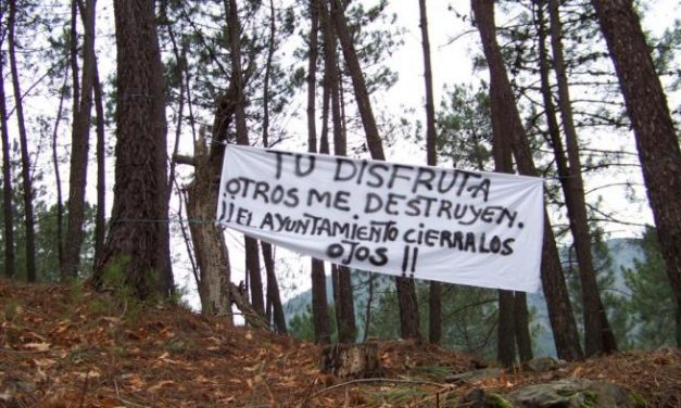 El PSOE de Pinofranqueado acusa a la Junta de «destruir el valor natural» con las obras de una pista forestal