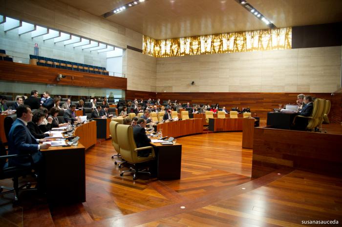 El pleno del Parlamento aprueba una propuesta para instar al Gobierno a retirar la Ley del Aborto