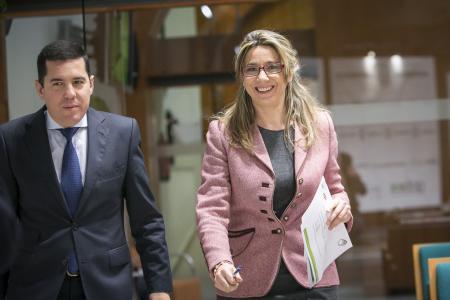 Extremadura estudia interponer el quinto recurso de inconstitucionalidad contra la reforma energética