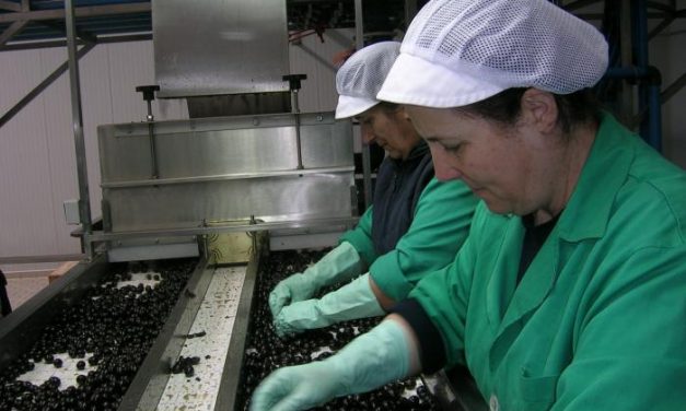 La cooperativa Acenorca logra los certificados de calidad, medio ambiente y seguridad alimentaria