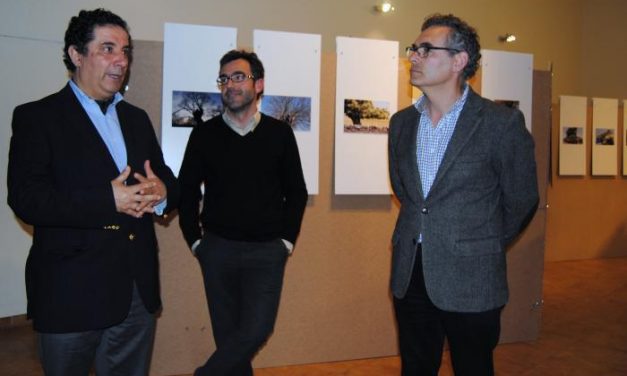 La casa de Cultura de Valencia de Alcántara acoge hasta el día 25 la exposición lusa «Castanea»