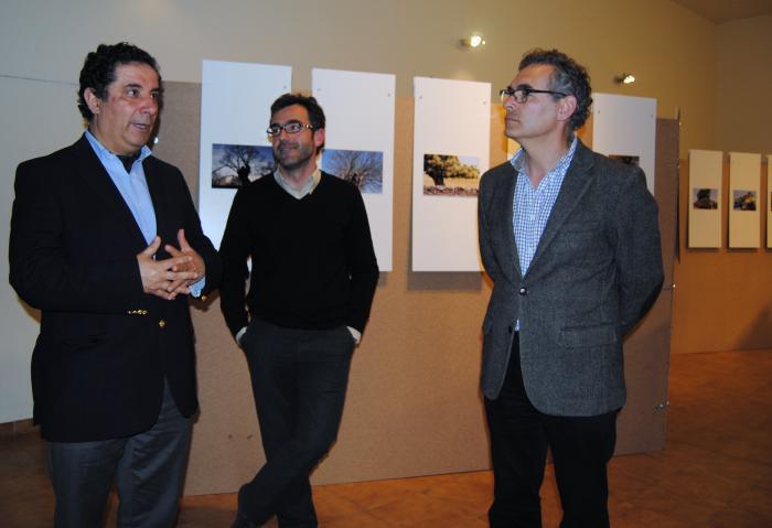 La casa de Cultura de Valencia de Alcántara acoge hasta el día 25 la exposición lusa «Castanea»