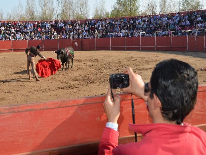 Cientos de personas visitan la primera edición de la Feria Internacional del Toro de Coria