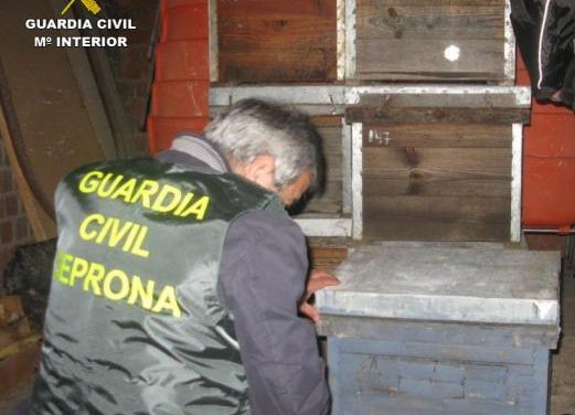 La Guardia Civil detiene en Hervás a un hombre acusado de robar colmenas en siete explotaciones apícolas