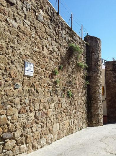 Patrimonio aclara que la muralla de Plasencia no sufre ninguna emergencia y su mantenimiento es adecuado