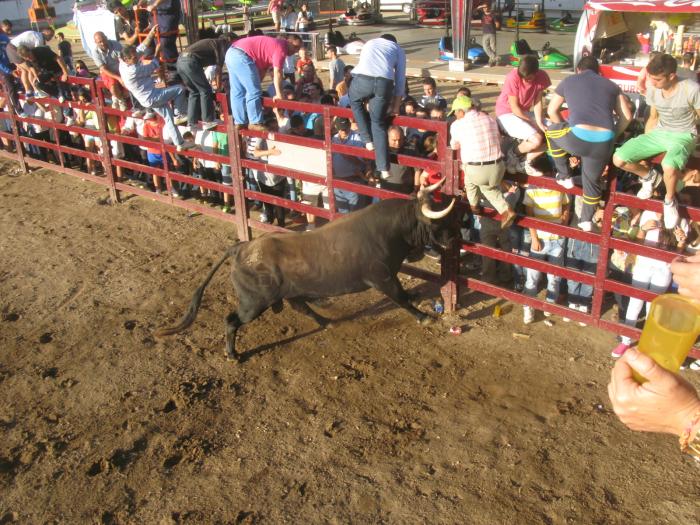 Las fiestas de San Juan Obrero de Rincón del Obispo se saldan con dos heridos por asta de toro