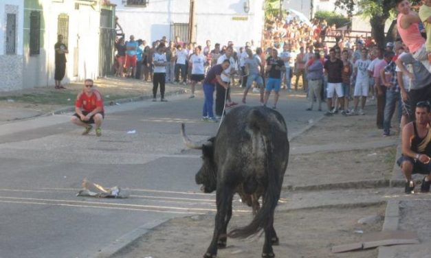 Un joven resulta herido por asta de toro en los festejos taurinos de Puebla de Argeme